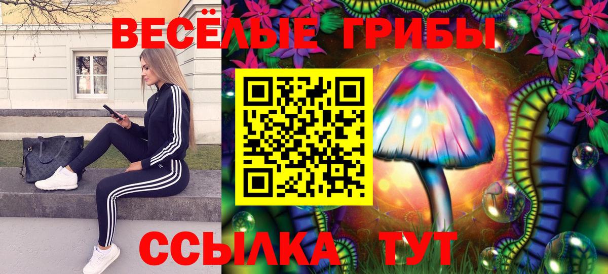 наркошоп  Галлюциногенные грибы мицелий  Вход с VPN  Чебоксары 